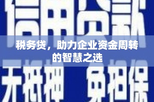 新营税务贷，助力企业资金周转的智慧之选