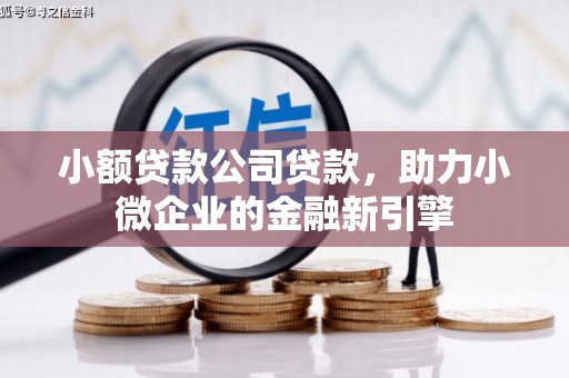 鹿城小额贷款公司贷款，助力小微企业的金融新引擎
