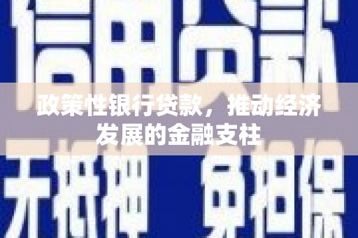 任丘政策性银行贷款，推动经济发展的金融支柱