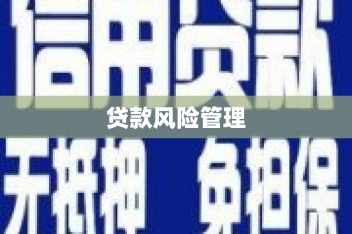 岱岳贷款风险管理