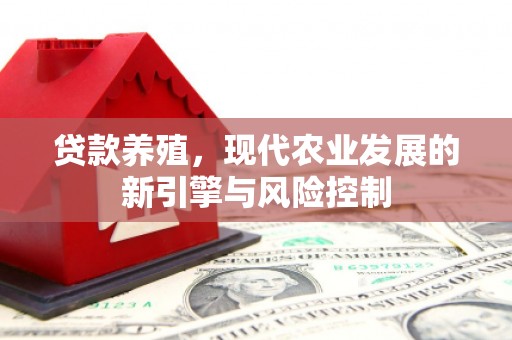 龙崎贷款养殖，现代农业发展的新引擎与风险控制
