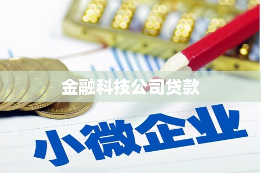 屏南金融科技公司贷款