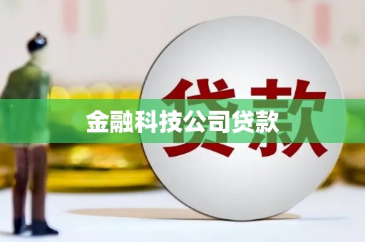 蓬江金融科技公司贷款