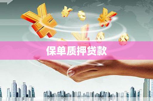 成武保单质押贷款