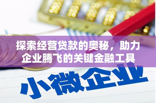 甘孜探索经营贷款的奥秘，助力企业腾飞的关键金融工具