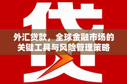 城关外汇贷款，全球金融市场的关键工具与风险管理策略