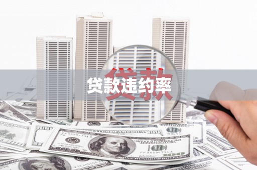历城贷款违约率