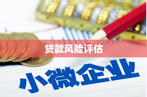 桑日贷款风险评估