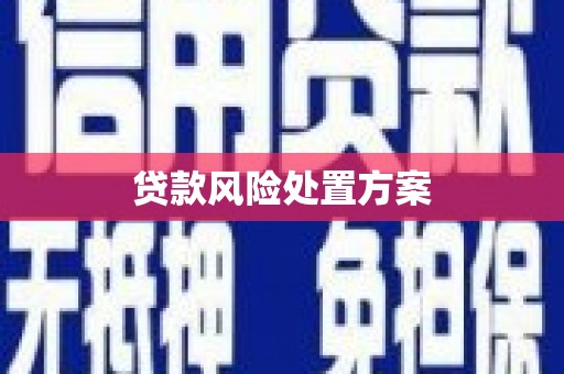肥乡贷款风险处置方案
