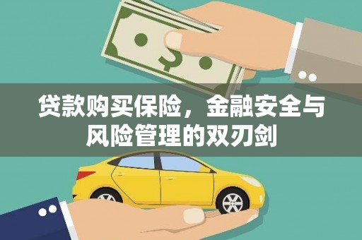 隆子贷款购买保险，金融安全与风险管理的双刃剑
