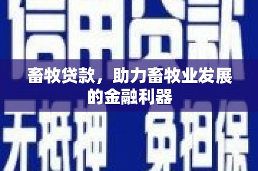 中区畜牧贷款，助力畜牧业发展的金融利器