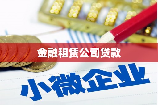 宾川金融租赁公司贷款