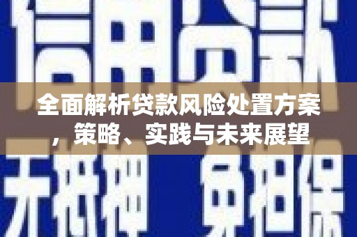 乡城全面解析贷款风险处置方案，策略、实践与未来展望