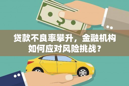 塔什库尔干塔吉克贷款不良率攀升，金融机构如何应对风险挑战？