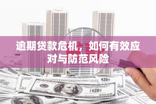 成县逾期贷款危机，如何有效应对与防范风险