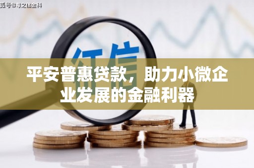 宁国平安普惠贷款，助力小微企业发展的金融利器