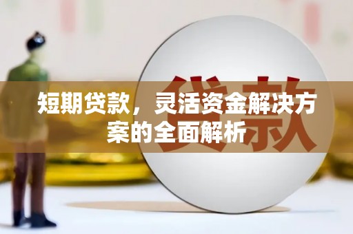 玉树短期贷款，灵活资金解决方案的全面解析
