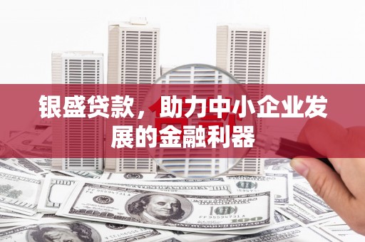 平舆银盛贷款，助力中小企业发展的金融利器