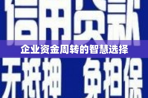 宁乡企业资金周转的智慧选择