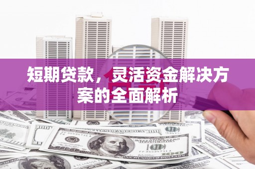 东宝短期贷款，灵活资金解决方案的全面解析