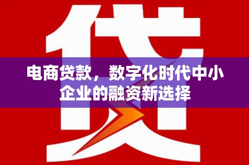 吕梁电商贷款，数字化时代中小企业的融资新选择