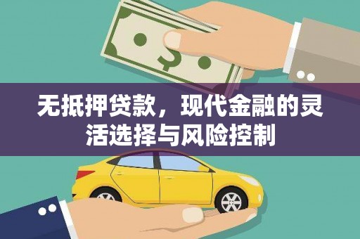 镇巴无抵押贷款，现代金融的灵活选择与风险控制
