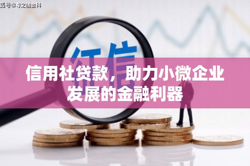 金秀信用社贷款，助力小微企业发展的金融利器