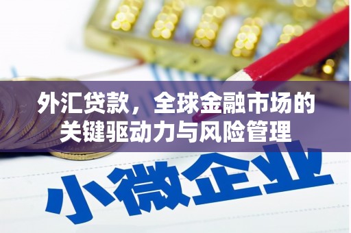 濮阳外汇贷款，全球金融市场的关键驱动力与风险管理