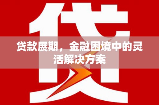 宁夏贷款展期，金融困境中的灵活解决方案