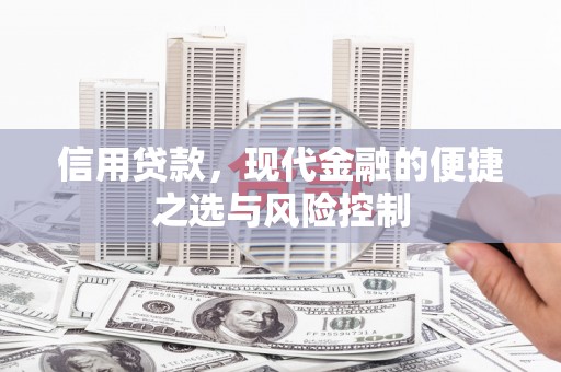 新园信用贷款，现代金融的便捷之选与风险控制