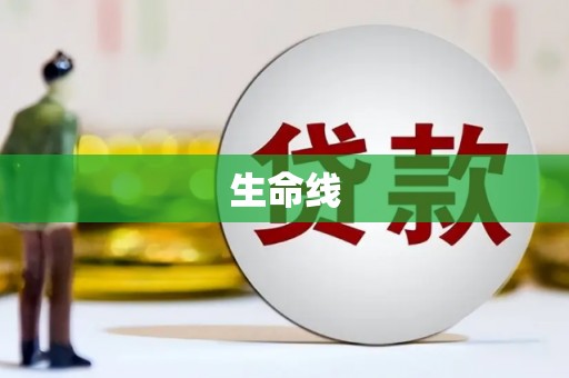 久治生命线