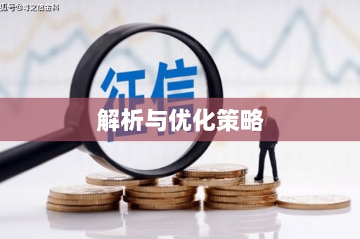辛集解析与优化策略