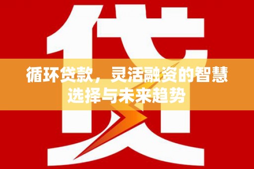 合作循环贷款，灵活融资的智慧选择与未来趋势