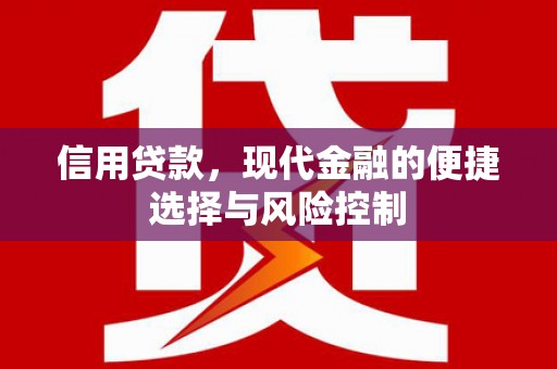沈河信用贷款，现代金融的便捷选择与风险控制