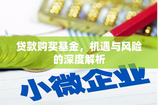 丹徒贷款购买基金，机遇与风险的深度解析