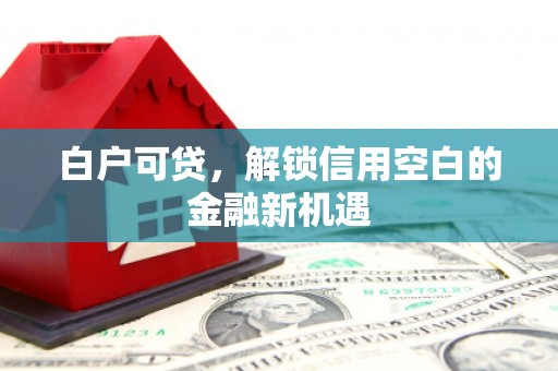 秦安白户可贷，解锁信用空白的金融新机遇