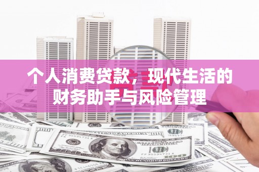 洛扎个人消费贷款，现代生活的财务助手与风险管理