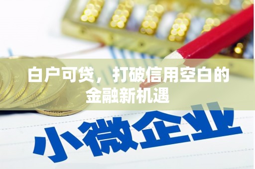 江海白户可贷，打破信用空白的金融新机遇