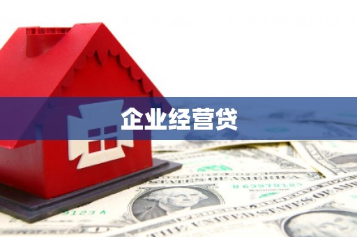 美溪企业经营贷