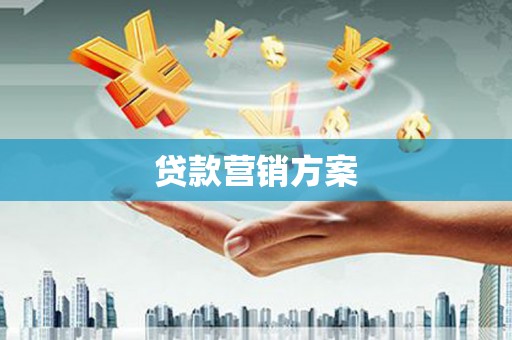 囊谦贷款营销方案