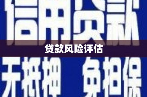 莱山贷款风险评估