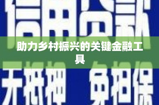 暖暖助力乡村振兴的关键金融工具