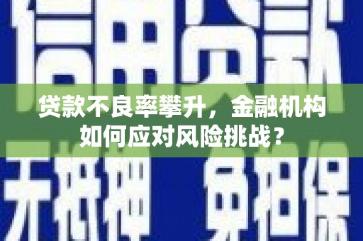 大林贷款不良率攀升，金融机构如何应对风险挑战？