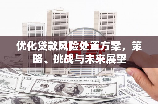 澎湖优化贷款风险处置方案，策略、挑战与未来展望
