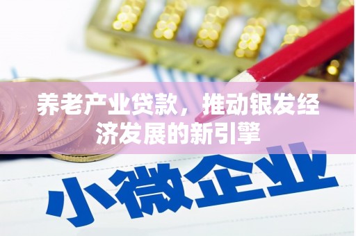 灌云养老产业贷款，推动银发经济发展的新引擎