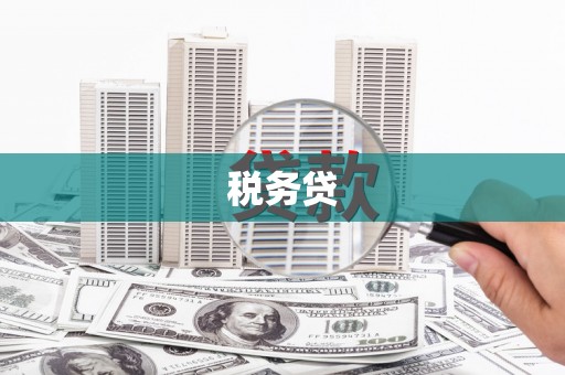 洪江税务贷