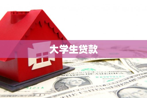 沙洋大学生贷款