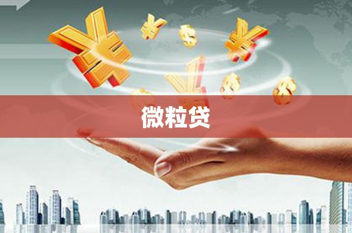 连平微粒贷