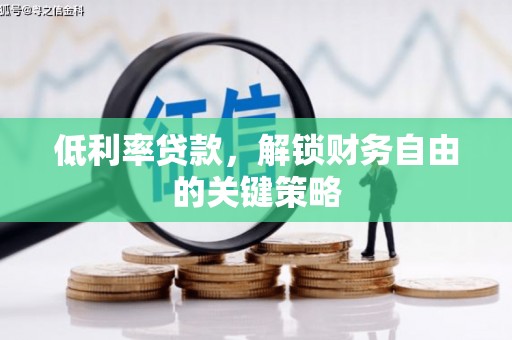 大丰低利率贷款，解锁财务自由的关键策略