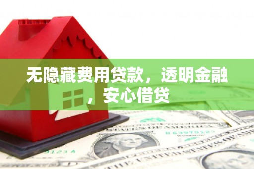 高安无隐藏费用贷款，透明金融，安心借贷